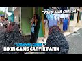 PENTAS PGM TERBARU DI KAJIM CIWASTRA !!! KUDA LUMPING PUSAKA GALUR MANUNGGAL 💥 RHP Telolet