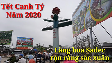 Toàn cảnh Làng Hoa Sadec rộn ràng sắc xuân những ngày cận tết Canh Tý 2020
