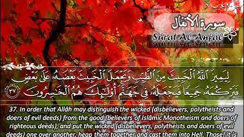 008  سورة الأنفال ماهر المعيقلي  Surat Al Anfal Maher Al Muaiqly