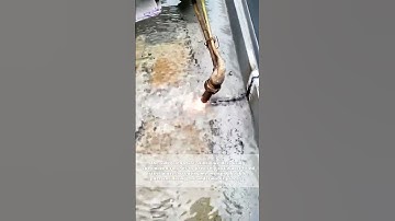 Underwater Torch Mastery: Welders Perform Aquatic Steel Cutting