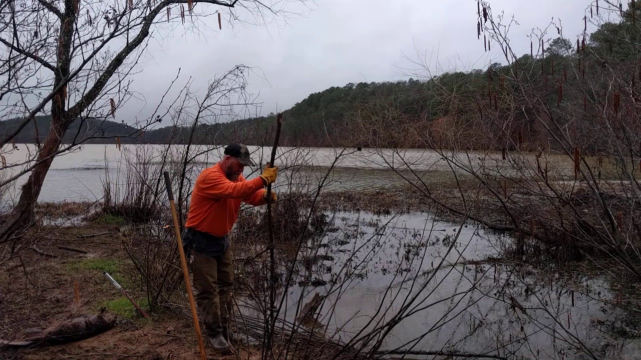 Trapping NW 2/18/20 YouTube