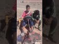 ايمازيغن دوريجين