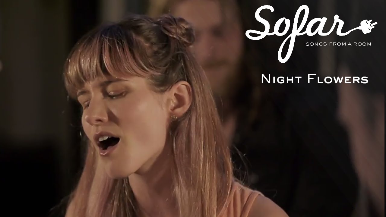 Night Flowers Glow In The Dark Sofar London YouTube