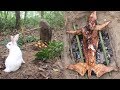 Primitive Technology: Simple rabbit trap in the forest and bake it in an aboriginal way