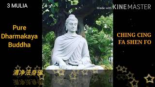 清净法身佛 || CHING CING FA SHEN FO || PURE DHARMAKAYA BUDDHA || LAGU BUDDHA  || BUDDHA SONG