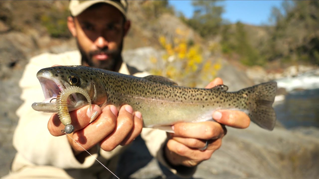 How I Catch Trout on Spinning Tackle (live bait & lure breakdown) 