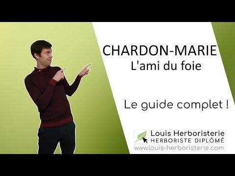 Vidéo: Chardon-Marie - Propriétés Médicinales Et Bienfaits Pour Le Corps, Application