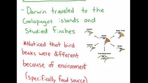 Unit 8 Review: Evolution