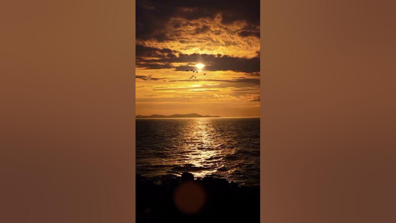 beautiful sunset video #shorts #love #nature #sunset #viral#youtubeshorts #viral #new#sun #sunset #