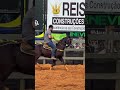 Marcos Sampaio, montando o fenômeno Gaspar Black!