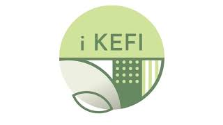 Ikefi Comercial