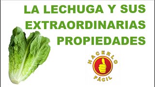 LECHUGA - PROPIEDADES Y VENTAJAS