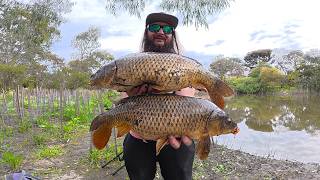 This Toxic Melbourne Waterway Looks Dead But It's LOADED with Giant Invasive Fish!