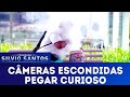 Pegar Curioso | Câmeras Escondidas (17/03/19)