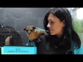 CAP 93. VETERINARIO ONLINE. Osito mielero, el Kinkajou