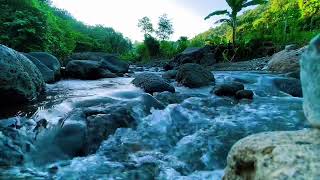 Relaxing River Sound Guaranteed your stress will disappear and your sleep will become soundly-