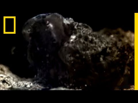 Deadly Stone Fish | National Geographic