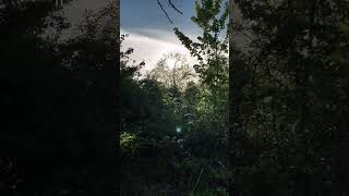 Dont Let Fear Stop You