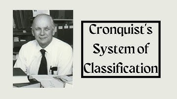classification of Takhtajan and Cronquist on angiosperms