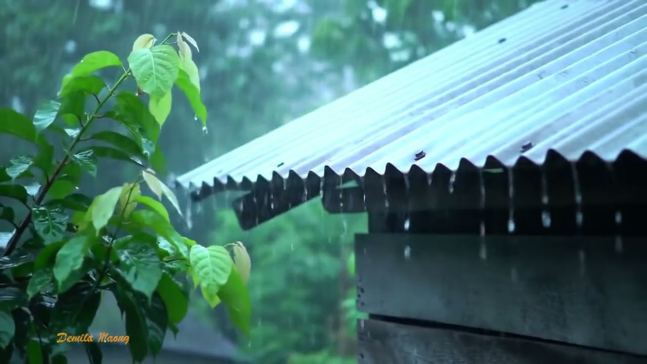 Overcome Insomnia in 3 Minutes with Intense Rain & Thunder on Old Tin Roof in Dark Forest Night