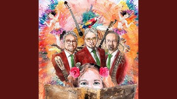 De Mooiste Van Het Bal