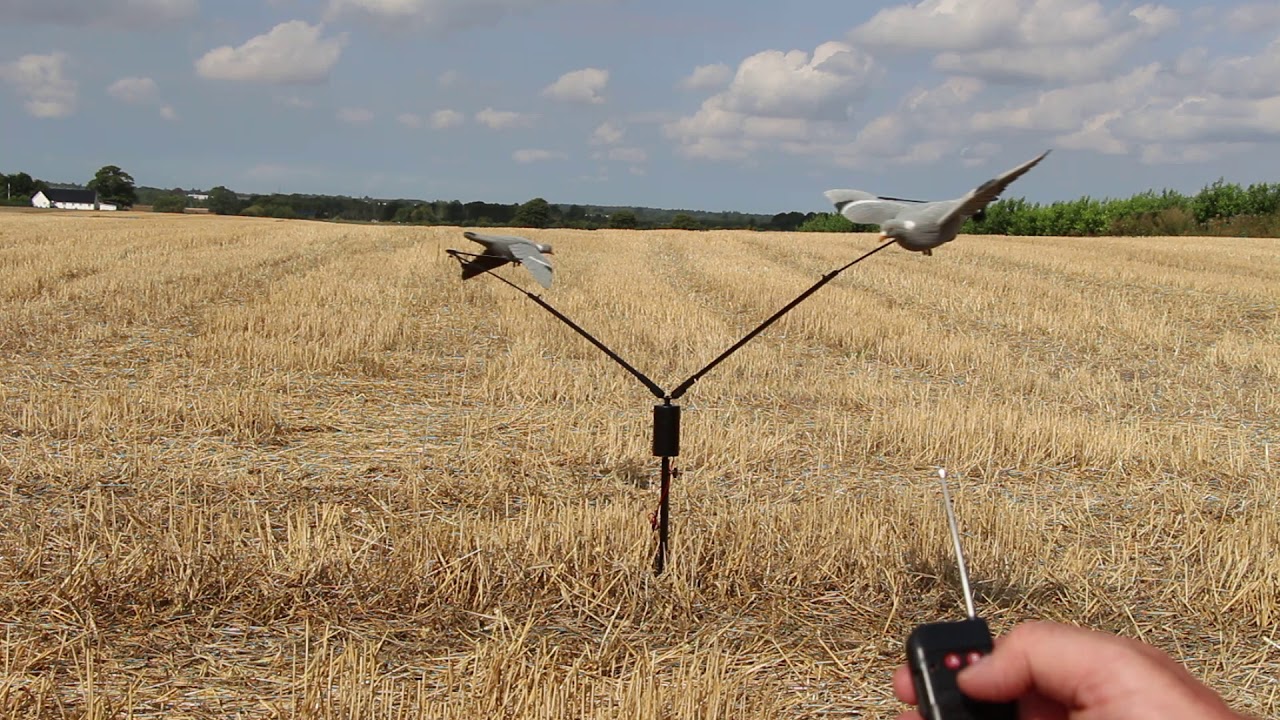 Remote controlled decoy Carousel - YouTube