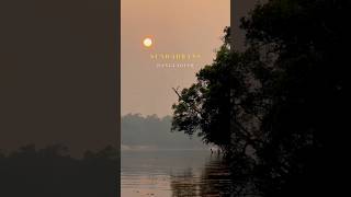 The Sundarbans 🐅— where land and water blur, tides reshape everything, nature runs on its own terms