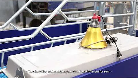 pig farrowing crate for modern pig farm farrowing pens for pigs europe type farrowing crate