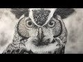 Drawing A Realistic Owl - Time Lapse