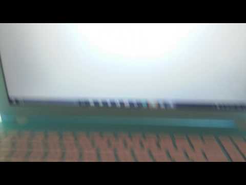 I wonder what my hamster will type I wonder what my hamster will type