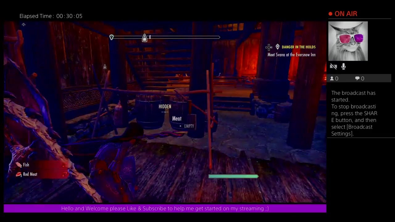 Elder Scrolls Online (ESO) Nord Sorcerer Character Leveling -DiamondzPrincezz's Live PS4 Broadcast