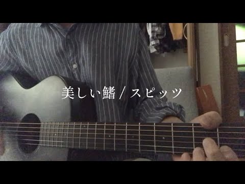 [弾き語りcover]美しい鰭/スピッツ