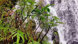 Riverside Tranquility: 60 Minutes of Soothing Waters