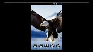 Golden Eagle Theme For Android Phone screenshot 1