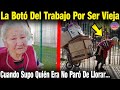 Joven Gerente Echo Abuelita Por Estar Muy Vieja. Luego Se Entera Quien Es, Y No Paro De Arrepentirse