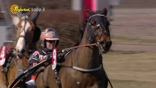 Vidéo de la course PMU PRIX TH EGNELLS MEMORIAL - STL KALLBLODSDIVISIONEN, FORSOK 8 I MEETING 1
