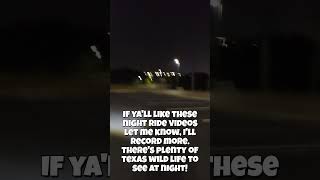 Beats and Oscillations 2 #binauralbeats #binauralmusic #binauralbeatsmeditation