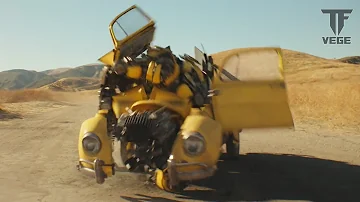 Quantos anos o Bumblebee tem?