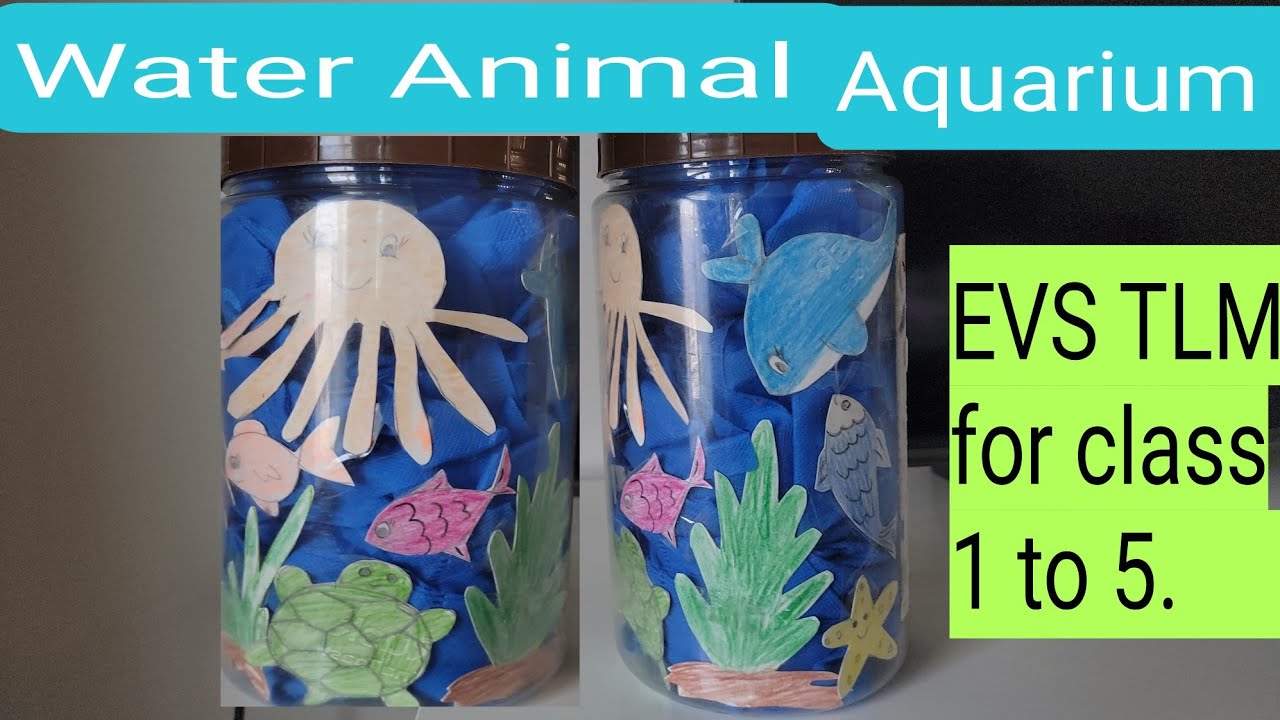 Water Animal school Model for kids, EVS TLM for class 1 to 5, Science