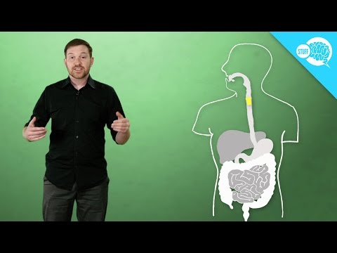 Video: Hvorfor kalles fiser avstøving?