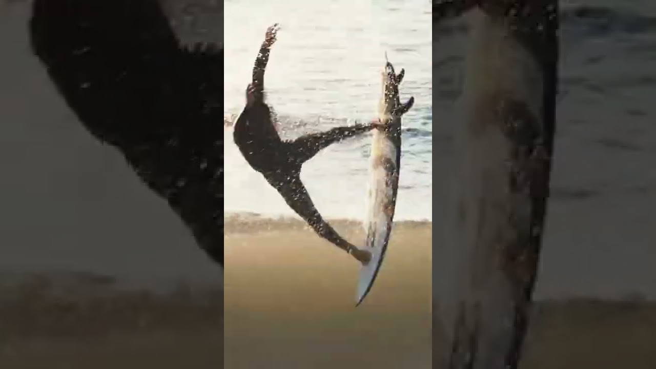 ÍTALO FERREIRA FREE SURF IN PORTUGAL - SURFE INSANO