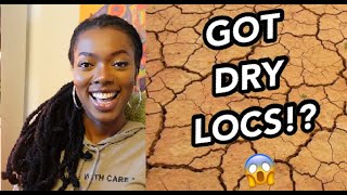 Here's Why YOUR LOCS are DRY & BRITTLE... and how to fix it