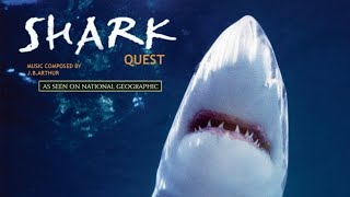 Shark Quest Soundtrack: Anchovie Frenzy 2
