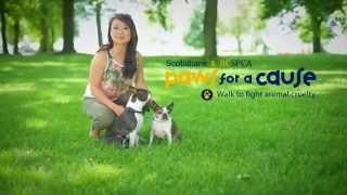 BC SPCA PAWS FOR A CAUSE 2015