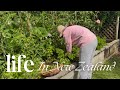 Our slow life in New Zealand | Living frugally because of our big spending last year | Life reset