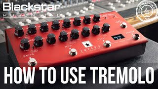 How to Use Tremolo with AMPED 2 | Blackstar Potential Lesson