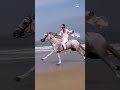 Ашот Аракелян Я мечтаю об одном Ашот Аракелян Я мечтаю об одном