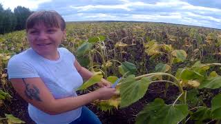 ЗАНИМАЮСЬ ВОРОВСТВОМ