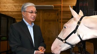 Head of State visits stables, hand-feeds horses gifted to him