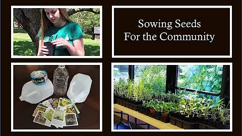 Sowing Seeds for the Community